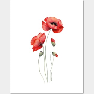 Red poppies watercolor Posters and Art